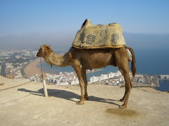 Appartamento Dar Diafa Agadir Esterno foto